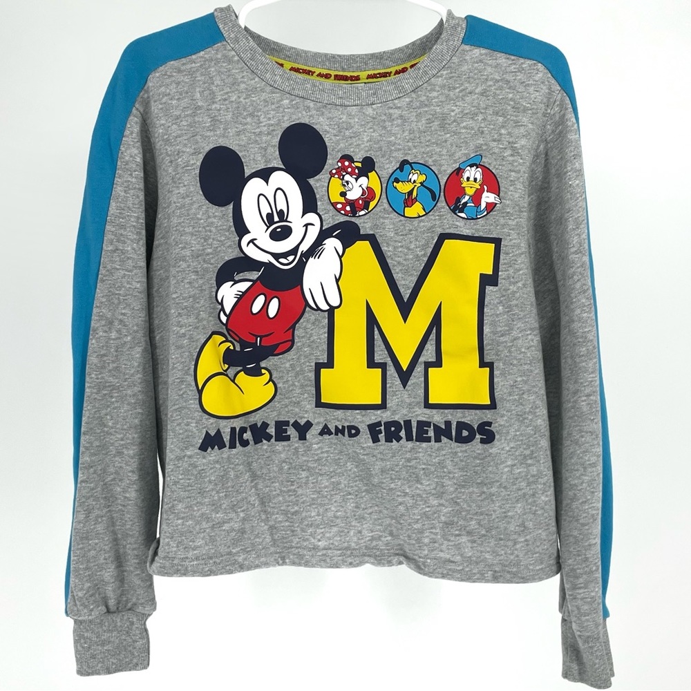 DISNEY PARKS NEW MICKEY AND FRIENDS PULLOVER LONG SLEEVE GRAPHIC SWEATSHIRT GRAY